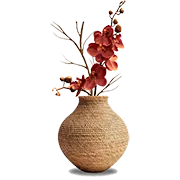 Lọ Hoa & Chậu Cây Decor