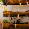 Đèn Dây Tre Thủ Công Minchu