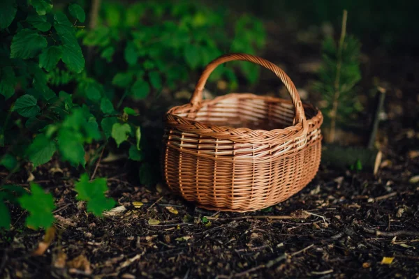 Giỏ mây đan Etsy
