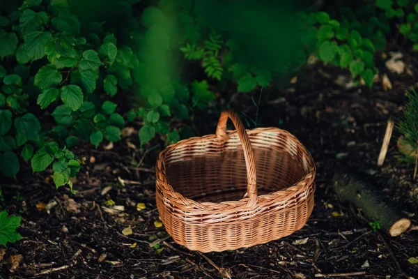 Giỏ mây đan Etsy