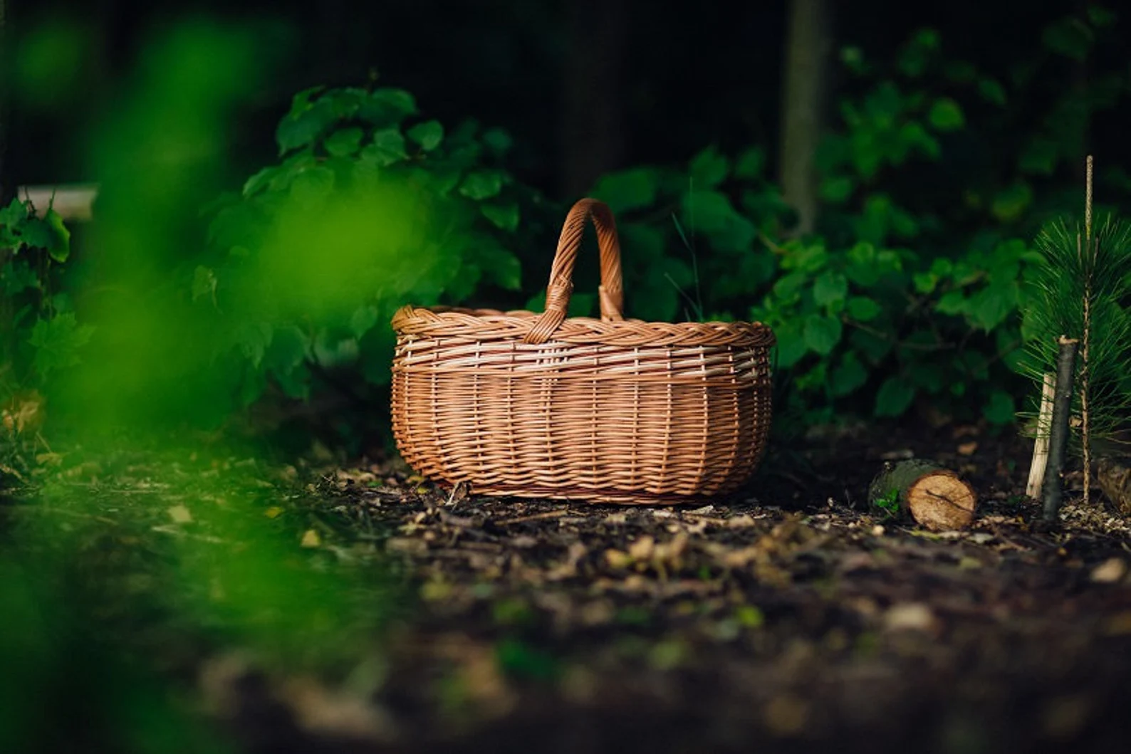 Giỏ mây đan Etsy