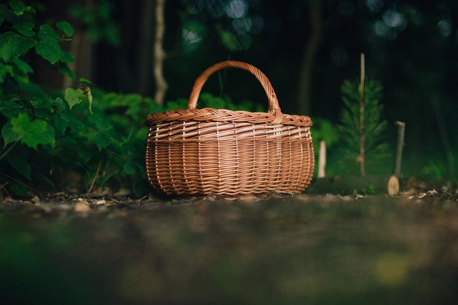 Giỏ mây đan Etsy